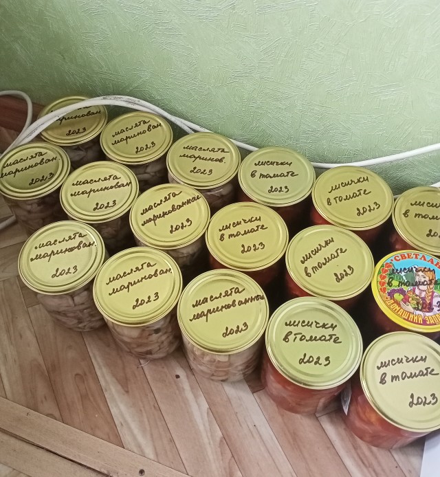 А как вы провели выходные?
