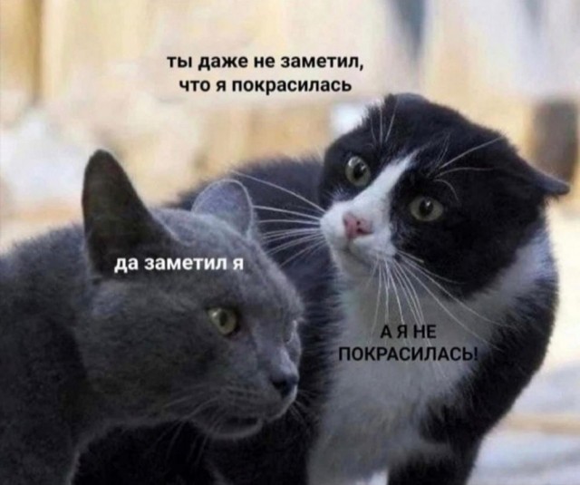 Юмор в картинках и без