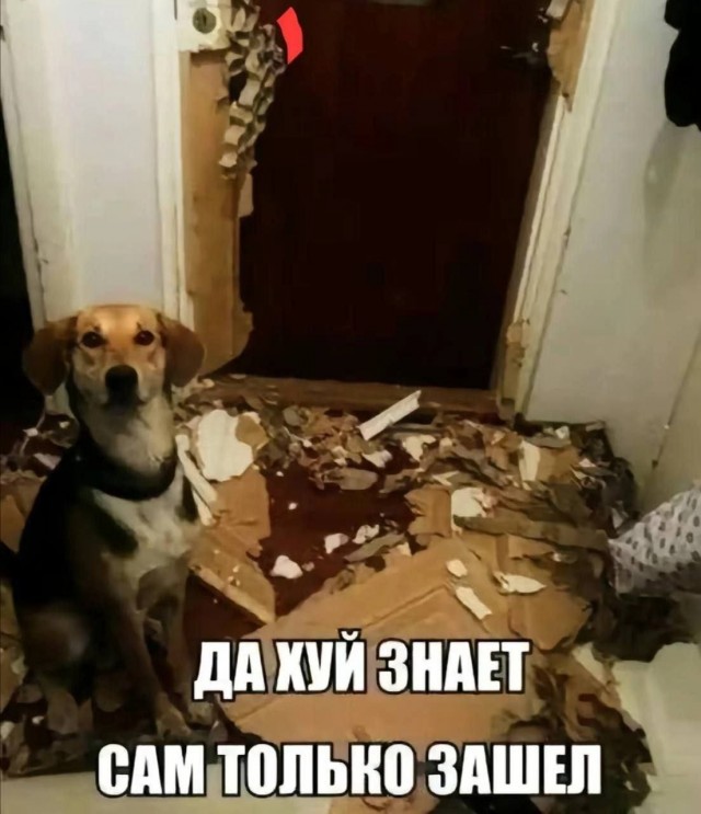 Всего понемногу. От 16.05.2024