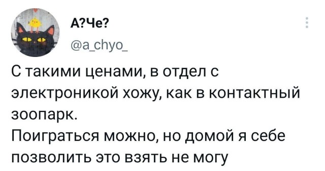 Никакие картинки и такие же тексты