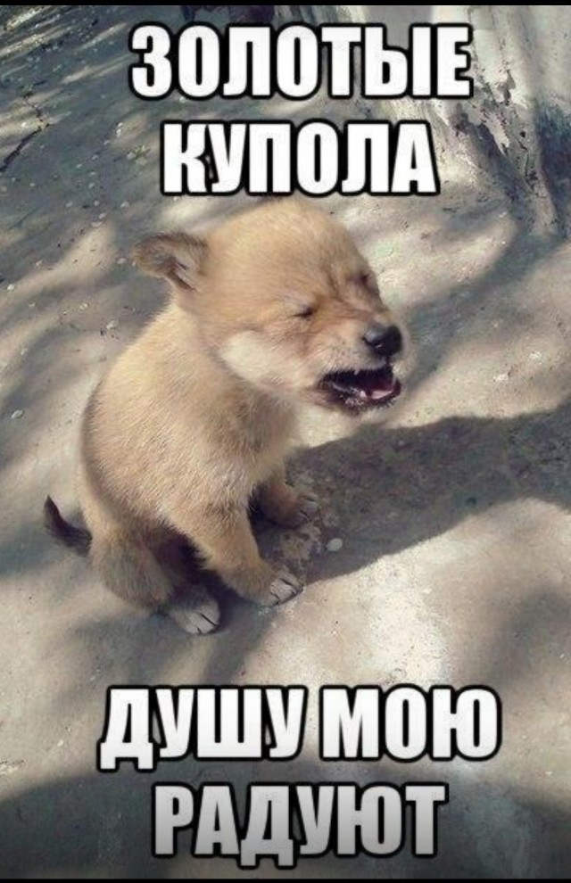 Давайте лица