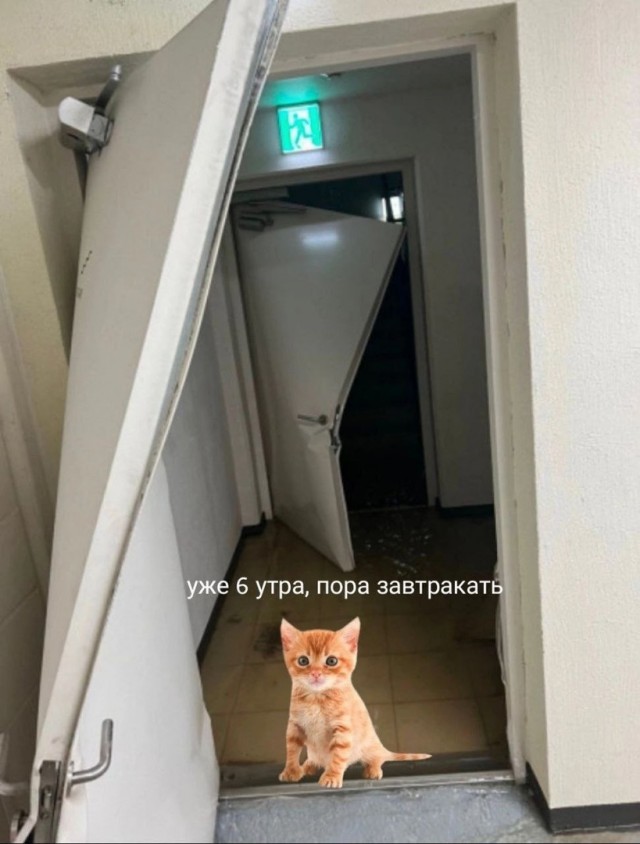 Так себе картинки 25.10.24