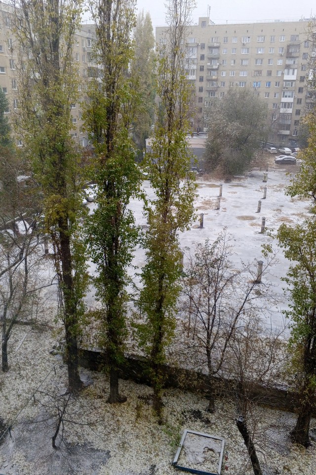 Утреннее во дворах