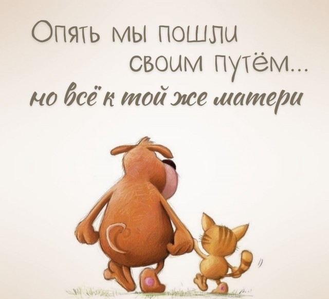 Прикольные и просто красивые картинки 10.12.2024