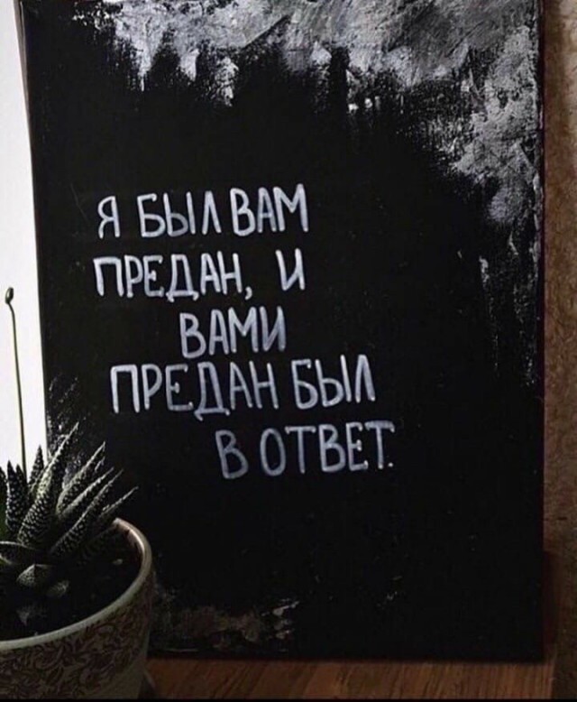 Прикольные и просто красивые картинки 10.01.2025