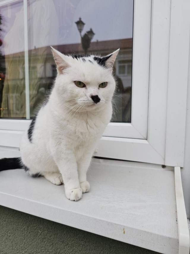 Кого-то он мне напоминает...