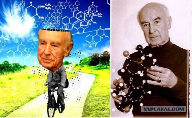 Листая календари: День велосипеда