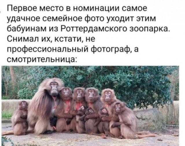 Так себе картинки 17.05.25