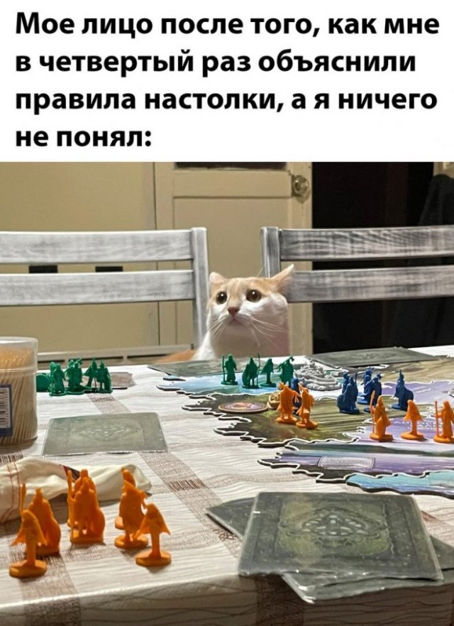 Веселые картинки в понедельник (02.06)