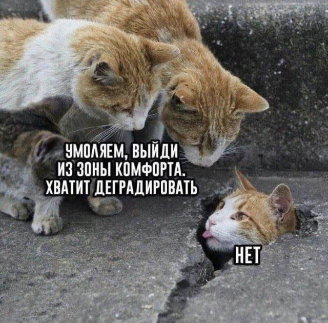 Маленькая пятница 25.06