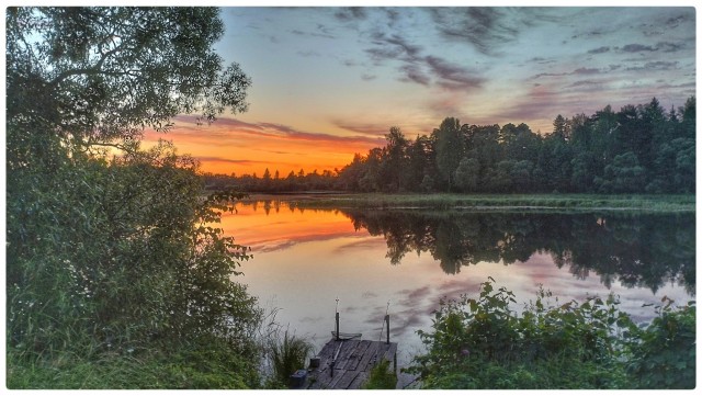 Хорошо в деревне летом ))