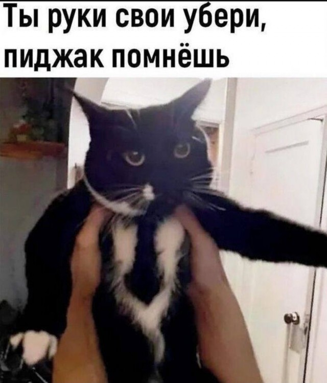 Так себе картинки 09.08.25