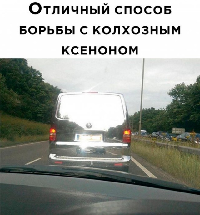 Веселые картинки в понедельник (25.08)