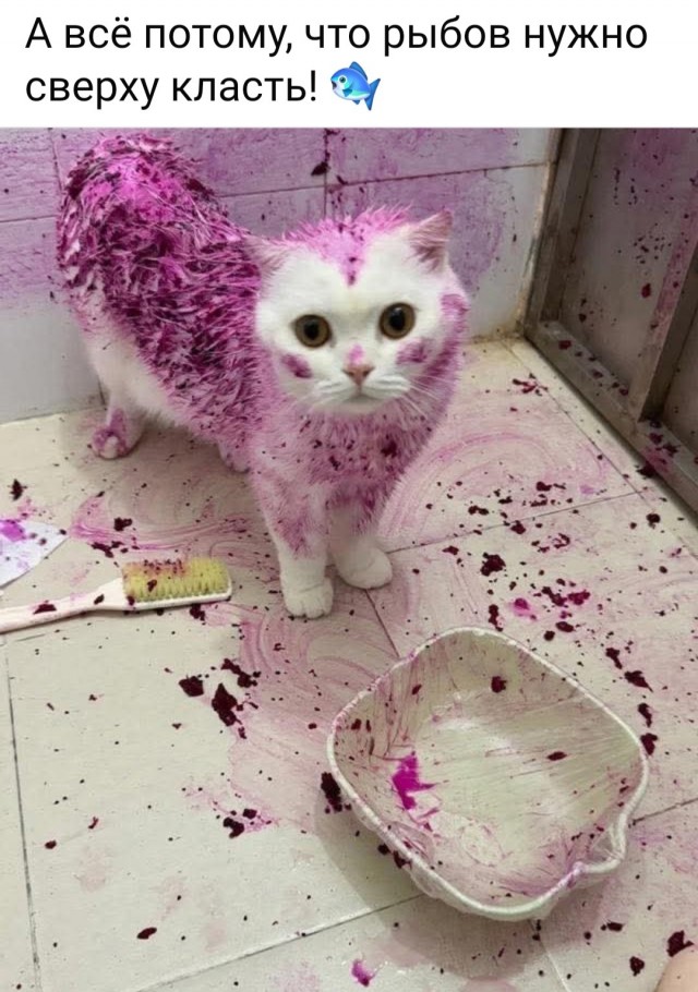 Маленькая пятница