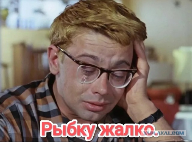 Белая Смерть боролась за жизнь до конца!
