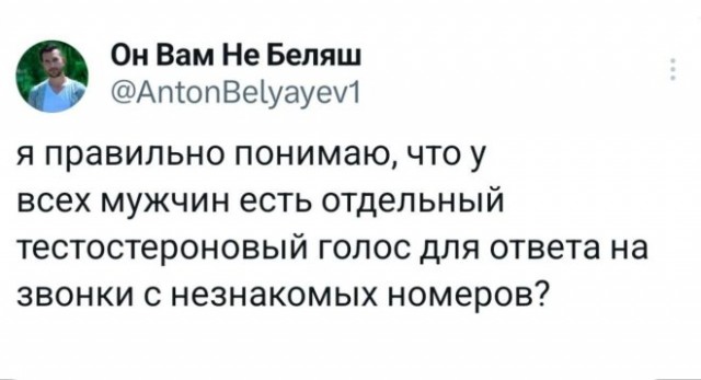 Веселые картинки в маленькую пятницу (19.11)