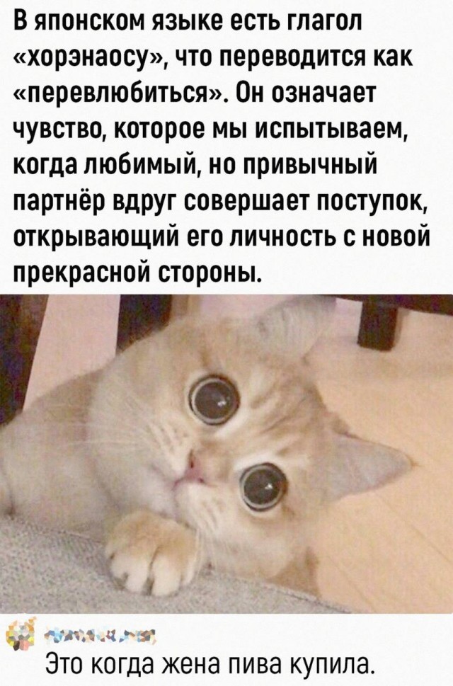 Пятничный бухлоход