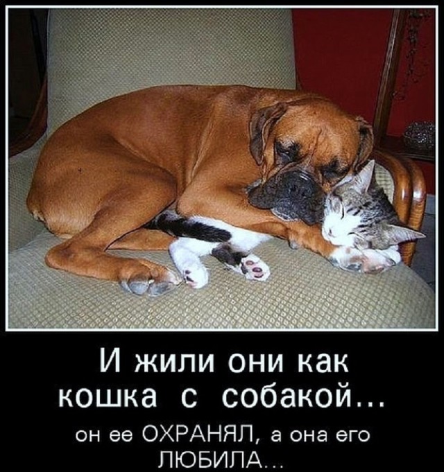 Так себе картинки 15.02.26