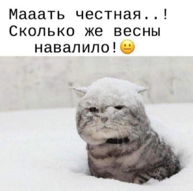 Так себе картинки 06.03.26