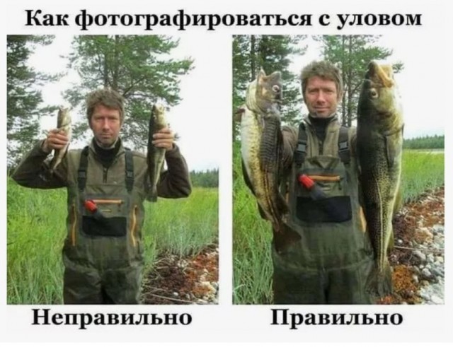 Лайфхак для рыбака⁠