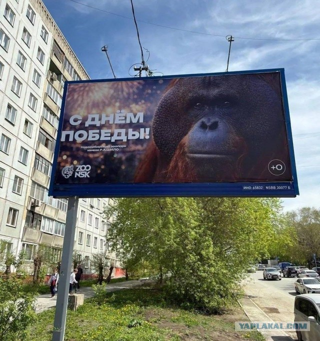 Поздравление с Днём Победы