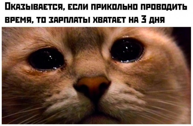 Картиночки, баянчики 03 июня