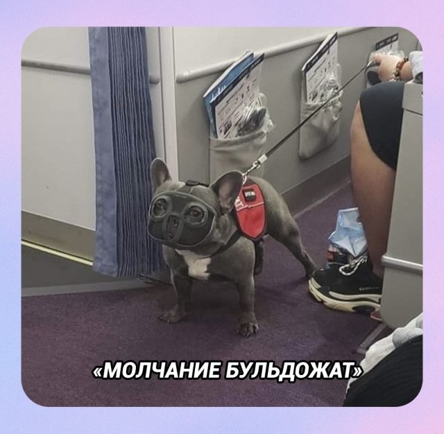 Картинки для деградации 238 (разной степени свежести)
