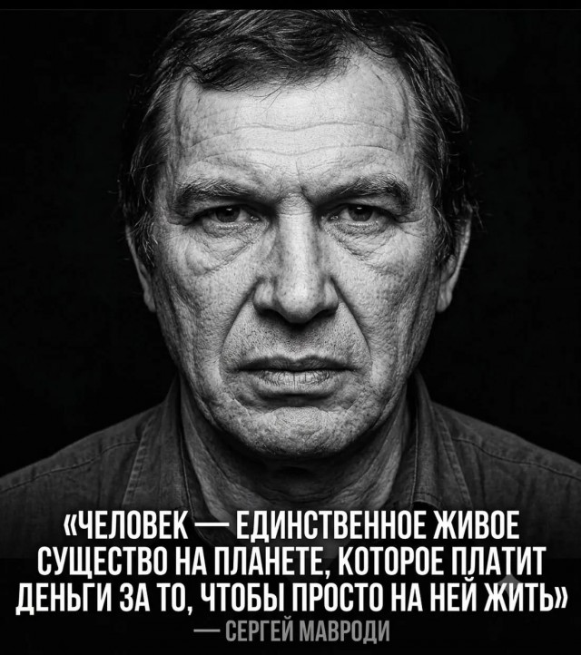 Картинки для деградации 255 (разной степени свежести)