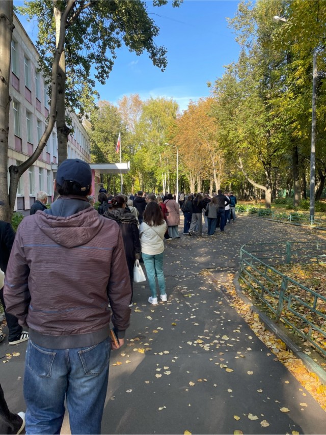Выборы