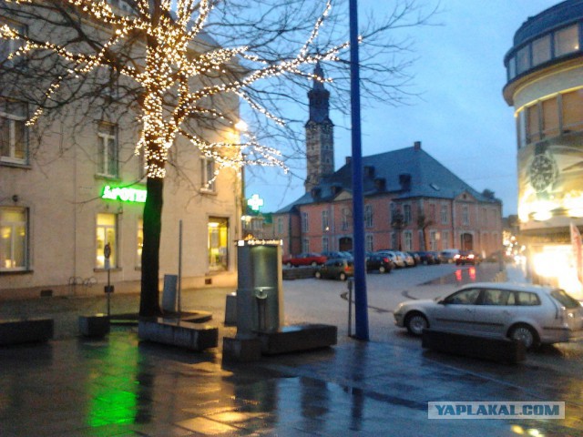 Где яблоки растут!