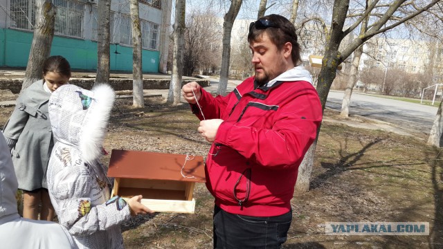 Как я запилил кормушку.