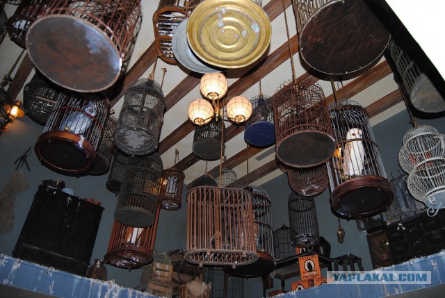 Каникулы во Флориде