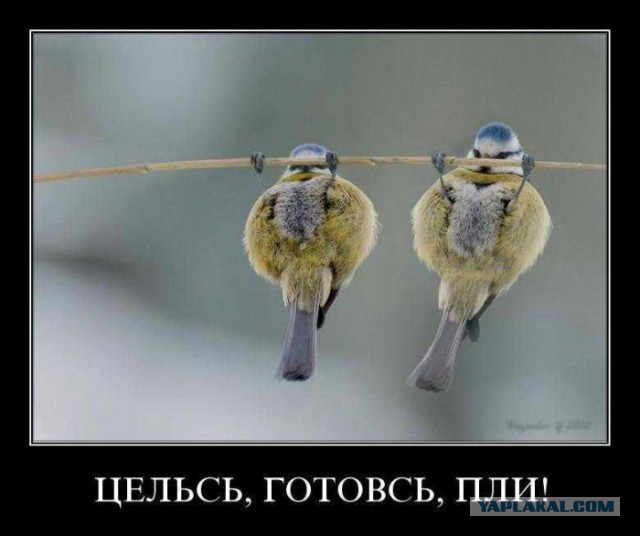 Подборка смешных картинок :)