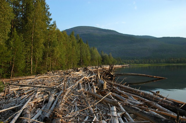 Деревенская Америка