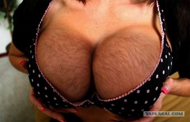 Что они там увидели?