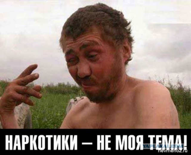 У нас открылся алкомаркет.