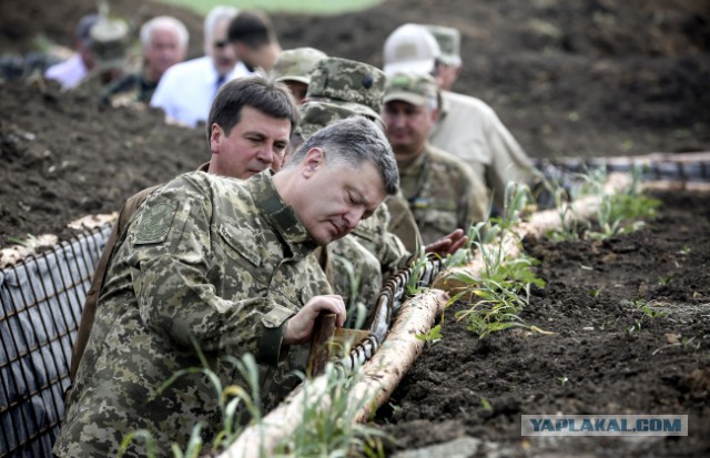 Перемирие кончилось, едва начавшись. Часть 10