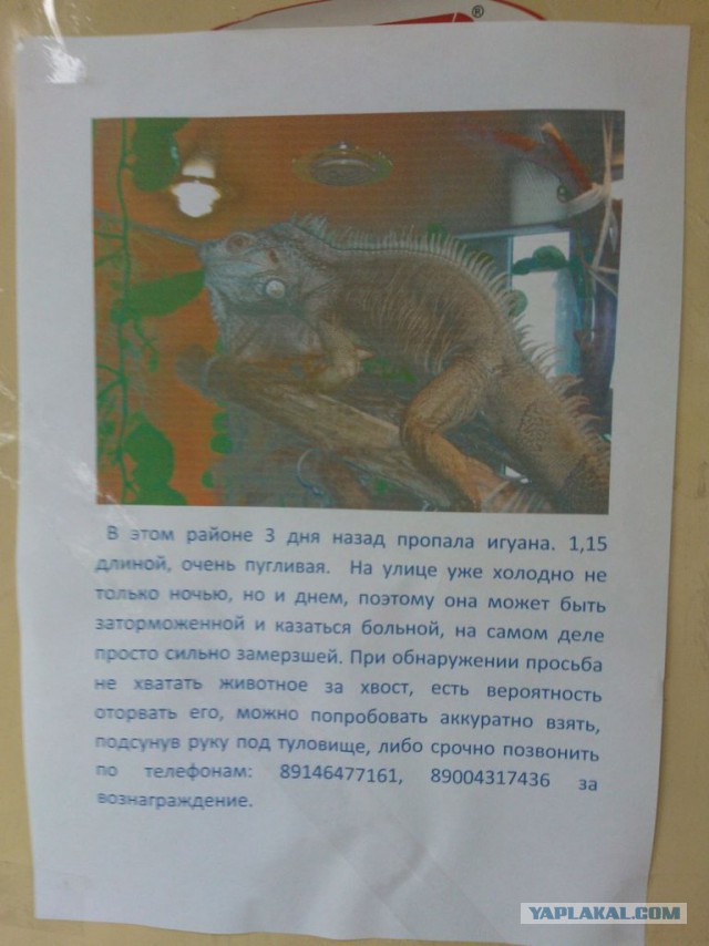 Он приносит свои извинения...