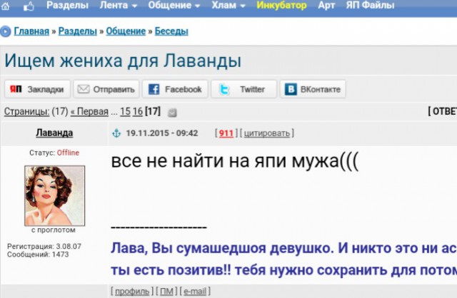 Ищем жениха для Лаванды