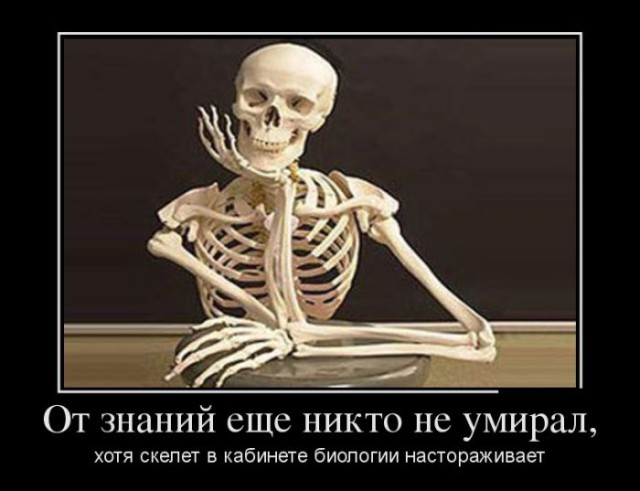 Подборка забавных картинок