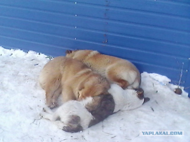 Космодром "Восточный" к первому запуску готов!