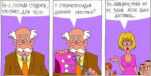 Истории в картинках. КОМИКСЫ