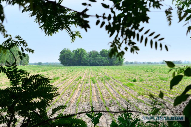 Фотоподборка