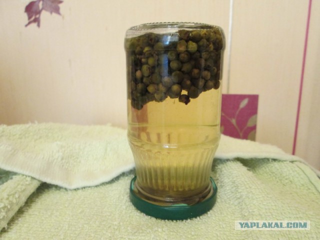 Колбасный FAQ. Делимся опытом, задаем вопросы, обсуждаем технологии.