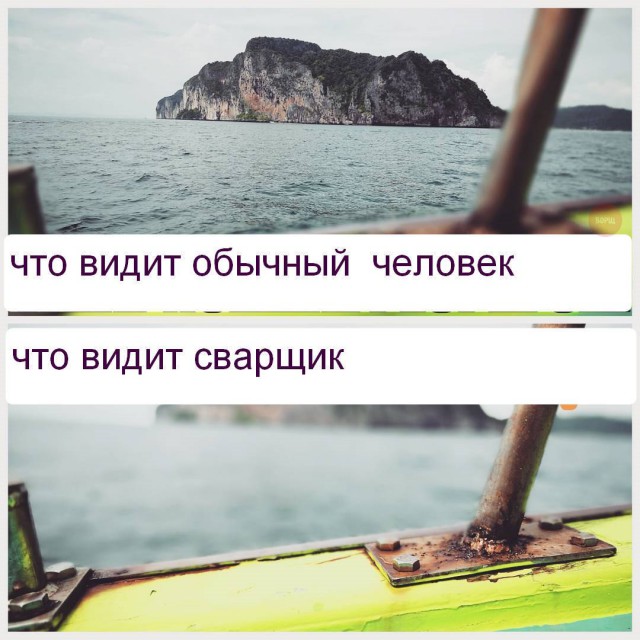 Смешные картинки из сети