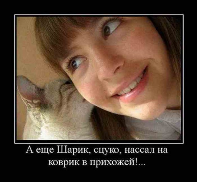Всячина. Картинки