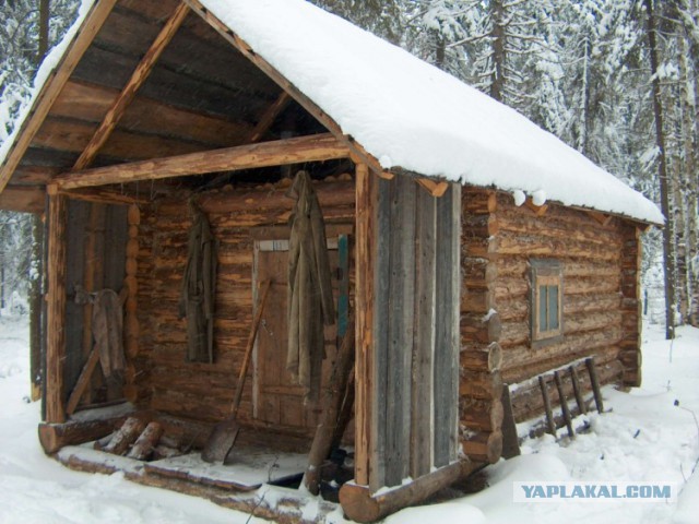 Тайга, страшные истории