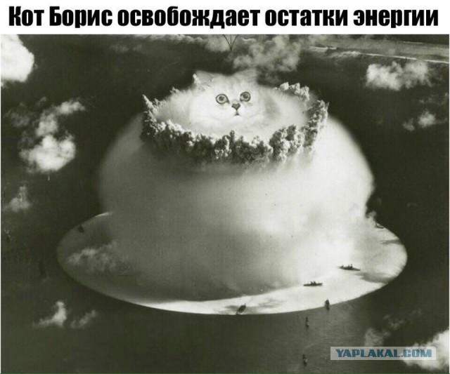 Абсурд и нарко трэш на новую неделю