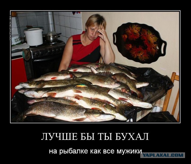 Рыба моей мечты!