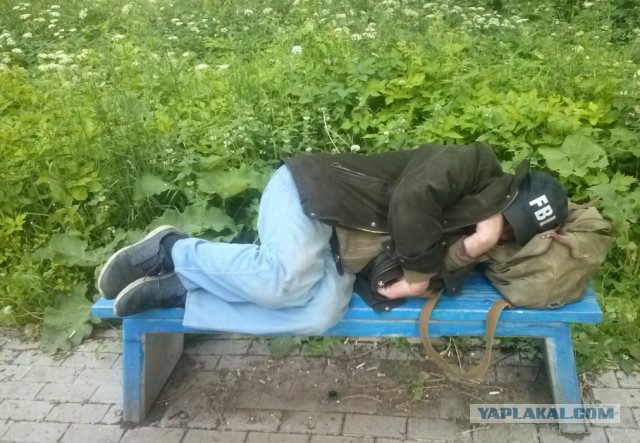 Картинки из личных запасов 2